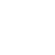 Plush Planning and Events